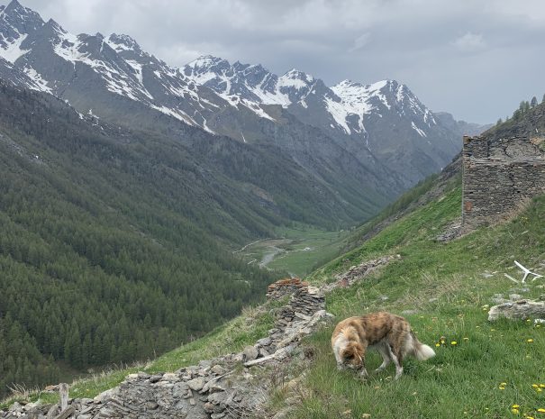 Valle Argentera