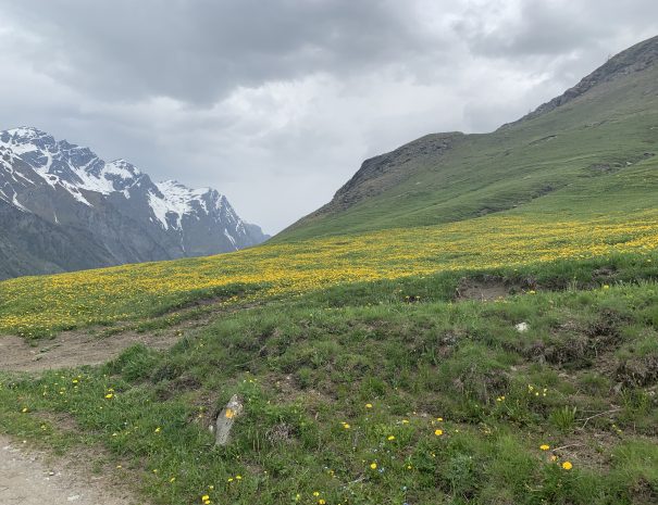 Valle Argentera